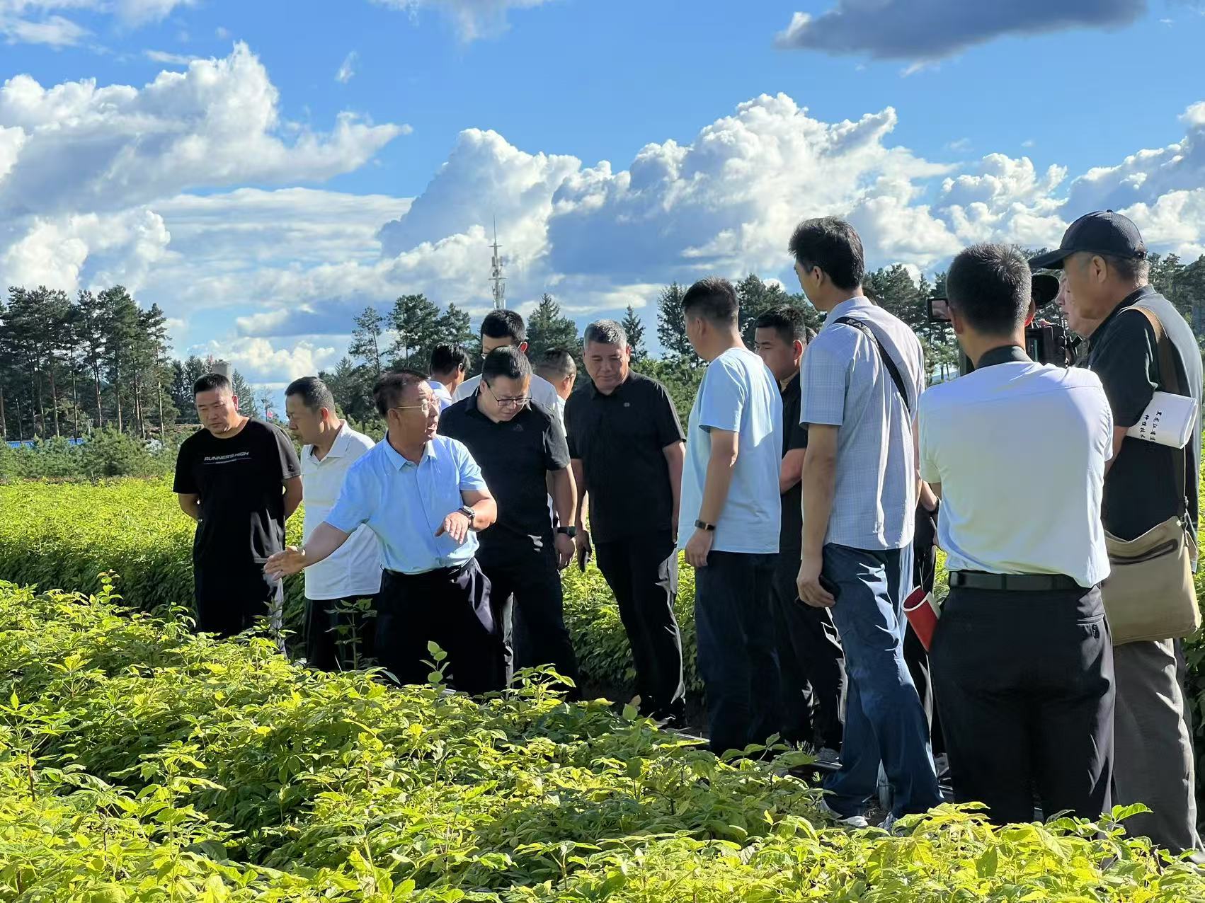 专家田间现场教学