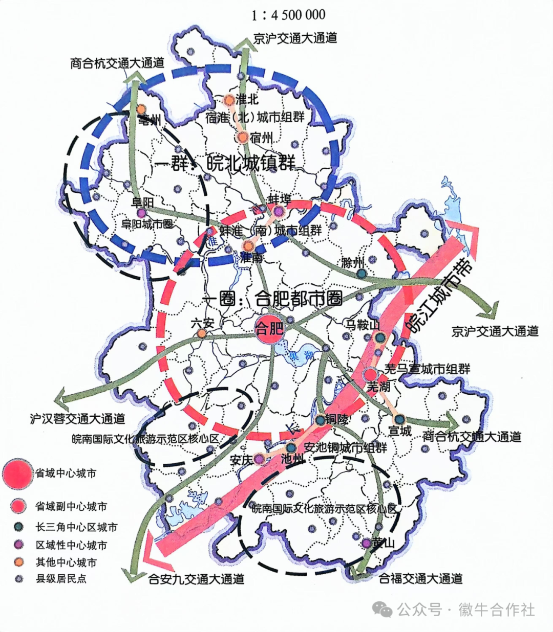 华金玲：2024年安徽省肉牛饲养量175.5万头，发展态势良好