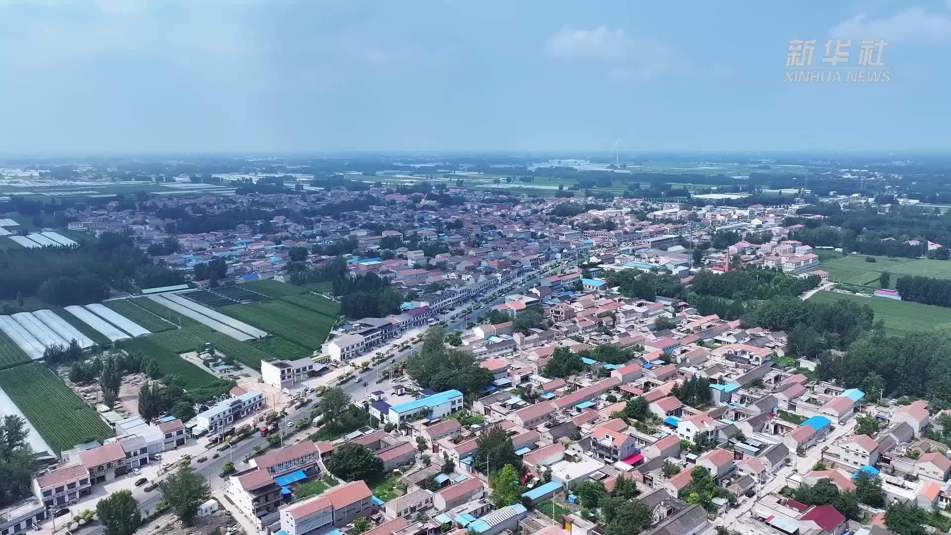 河南内黄：奋战在高温下的劳动者