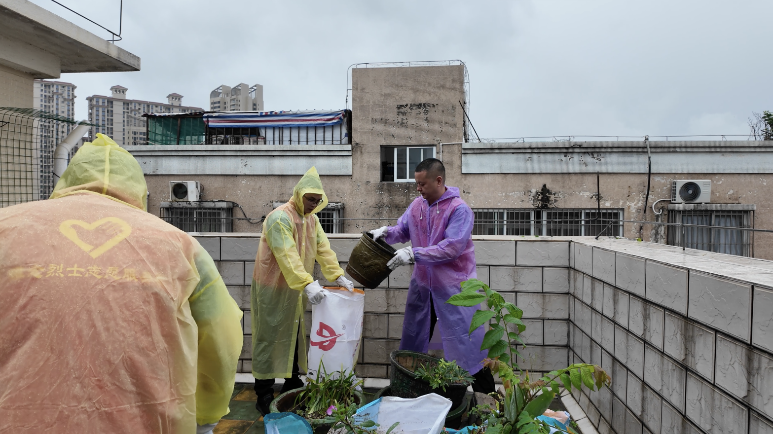 边检力量下沉社区!顺德边检站百人志愿队投身一线清除蚊媒孳生地