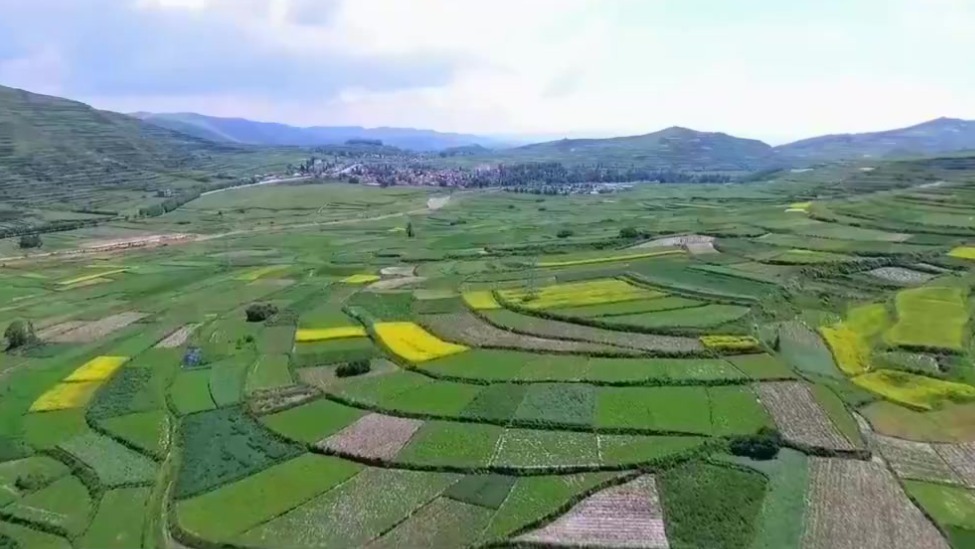 上半年全省中医药全产业链规模达393.22亿元