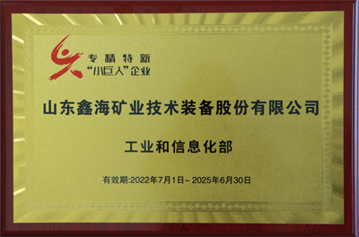 1. 专精特新小巨人奖牌.png
