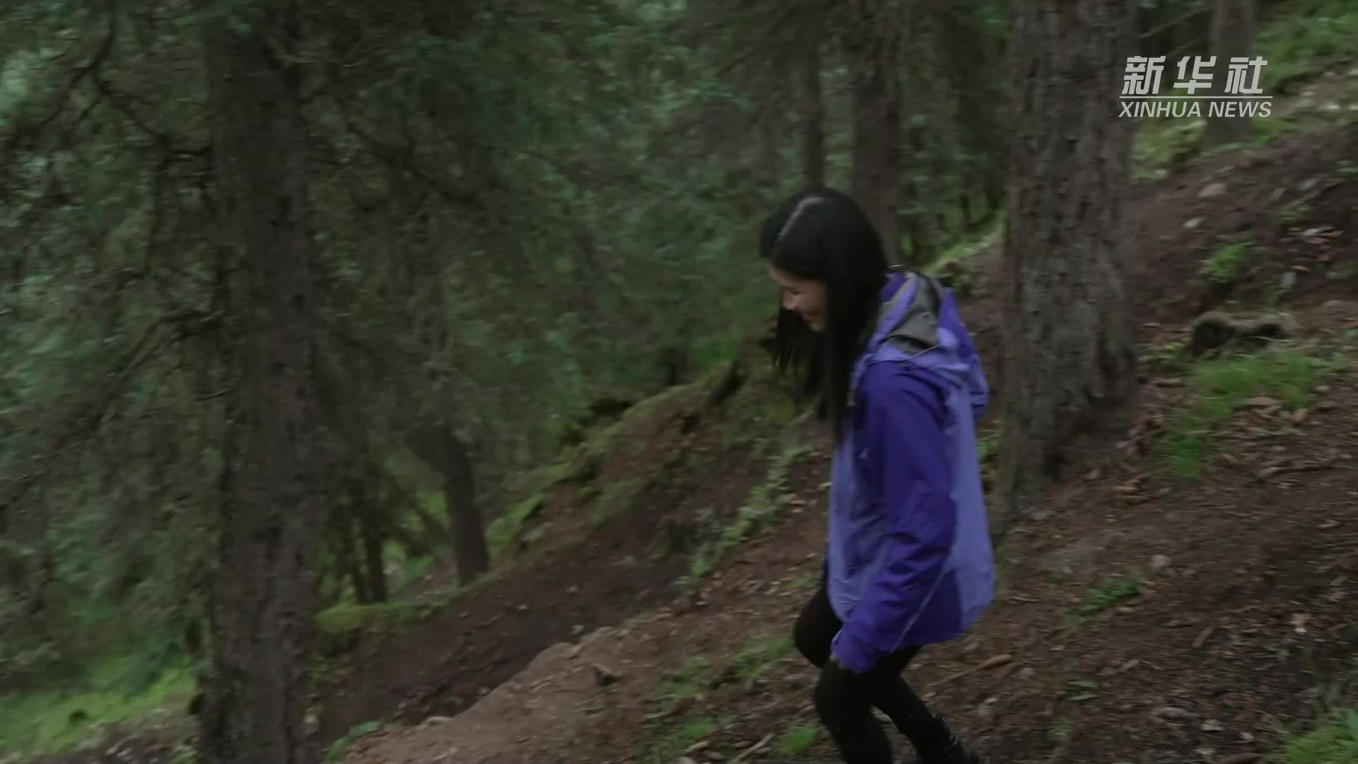 感知生态中国 | 海拔3000+米 探访祁连山女子护林人