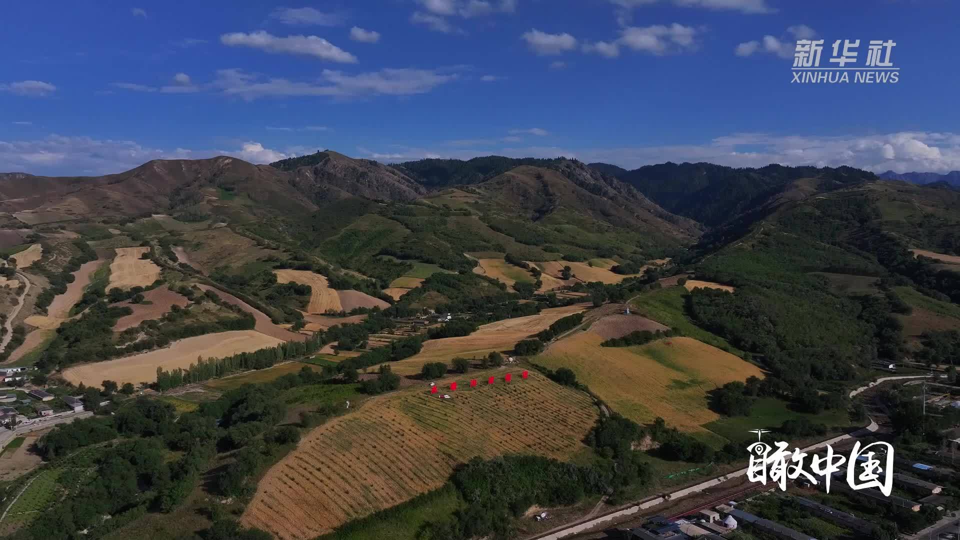 瞰中国丨新疆昌吉：万亩旱田绘就金色画卷