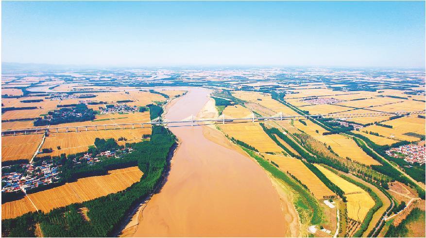 济郑高铁长清黄河特大桥