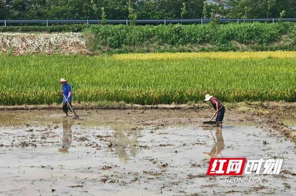 澧阳平原灌区.marked.jpg