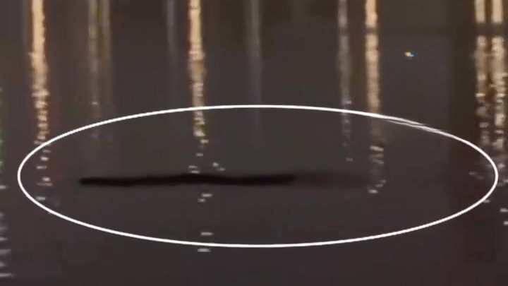 汉江惊现“巨型怪物”？夜钓者拍下惊悚一幕