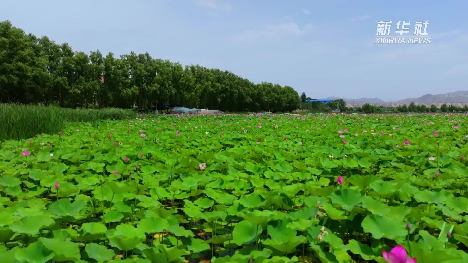 甘肃白银：激活乡村旅游资源 绘就文旅融合新图景