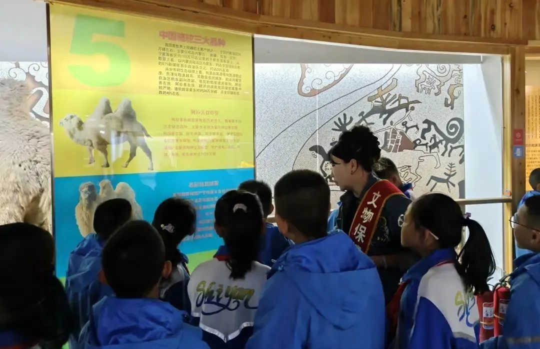 金昌市实验小学学生参观阿拉善右旗博物馆
