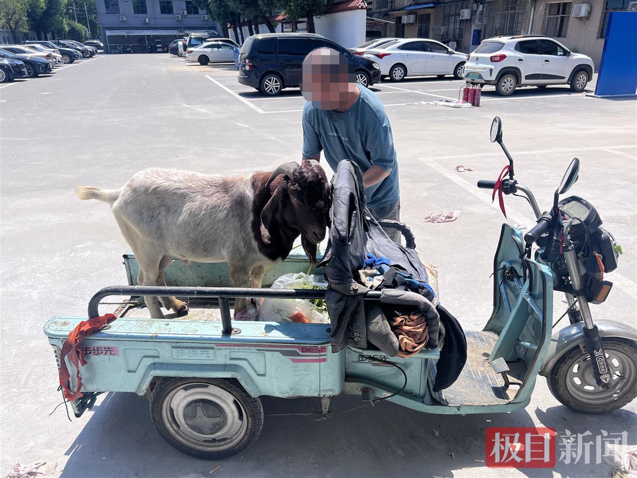 图一 群众领回山羊.jpg