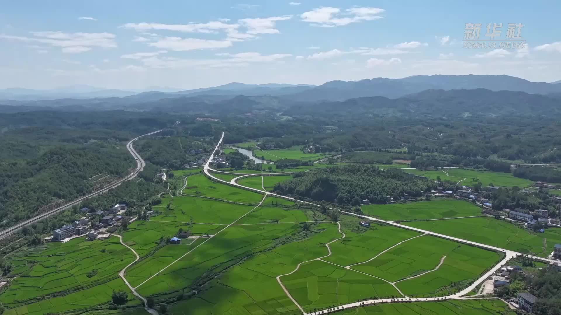 福建宁化：科技赋能水稻制种丰产增收