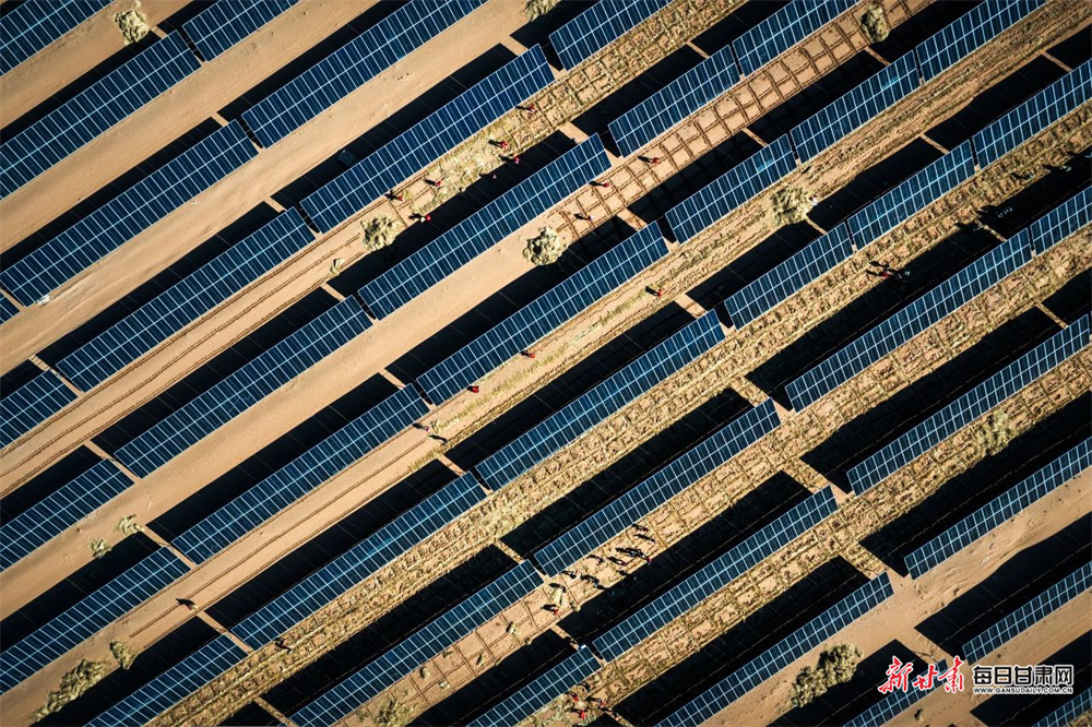 《沙海逐绿行（组照）》　厍运涛