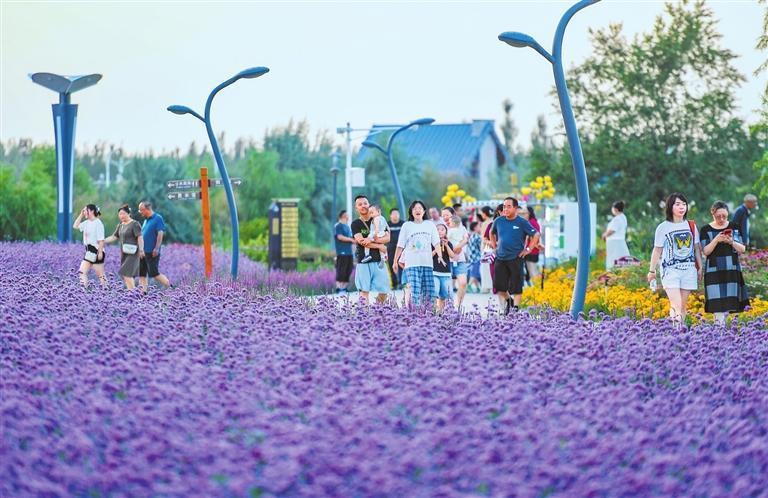 紫金花城景区 丁凯