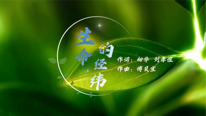 耳朵注意！这首《生命的经纬》的歌曲很入心、很好听