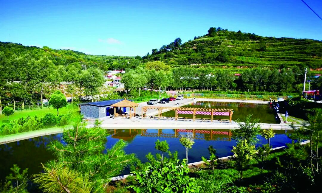 "煤海"扬帆打造工业样板　华亭双轮齐驱上半年成绩亮眼