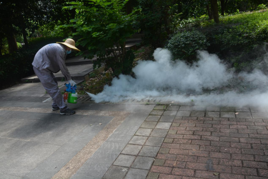 抚州开展全城大灭蚊 提醒:广大群众关好门窗