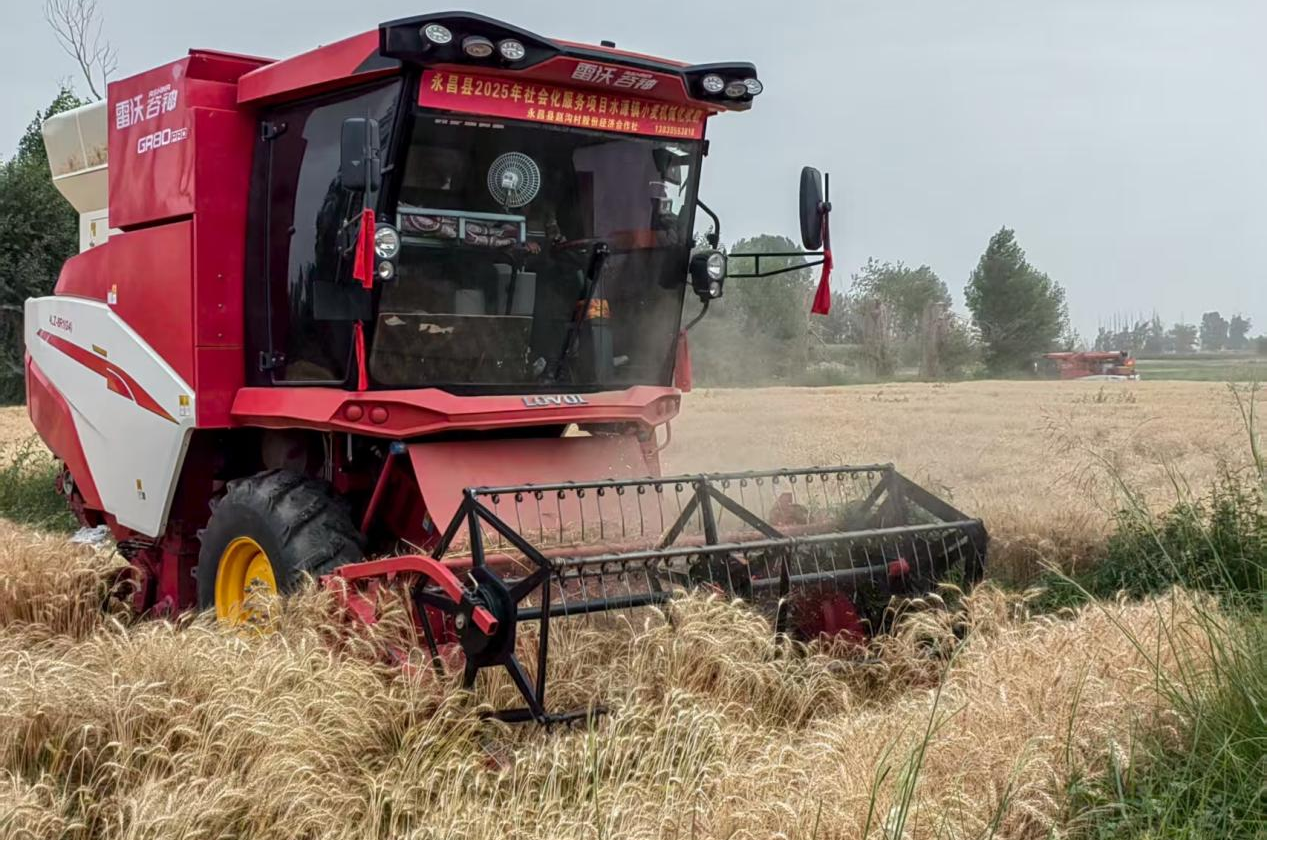 农业社会化服务提质增效 永昌“托”起农户增收梦