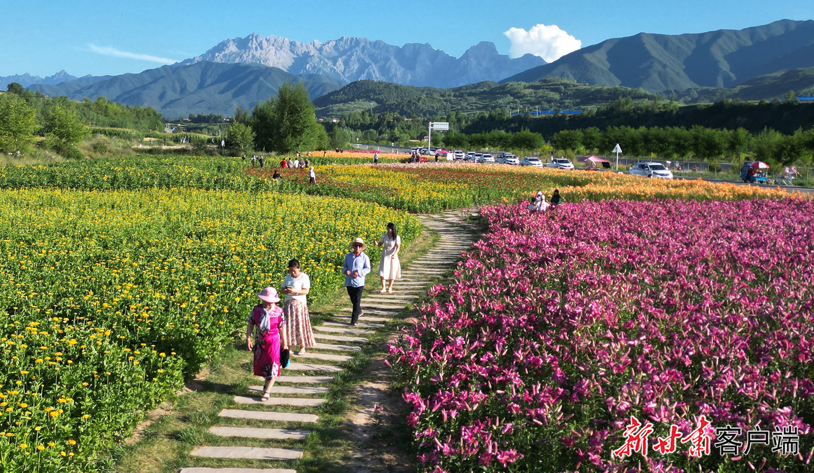 陇原暑期热力满格