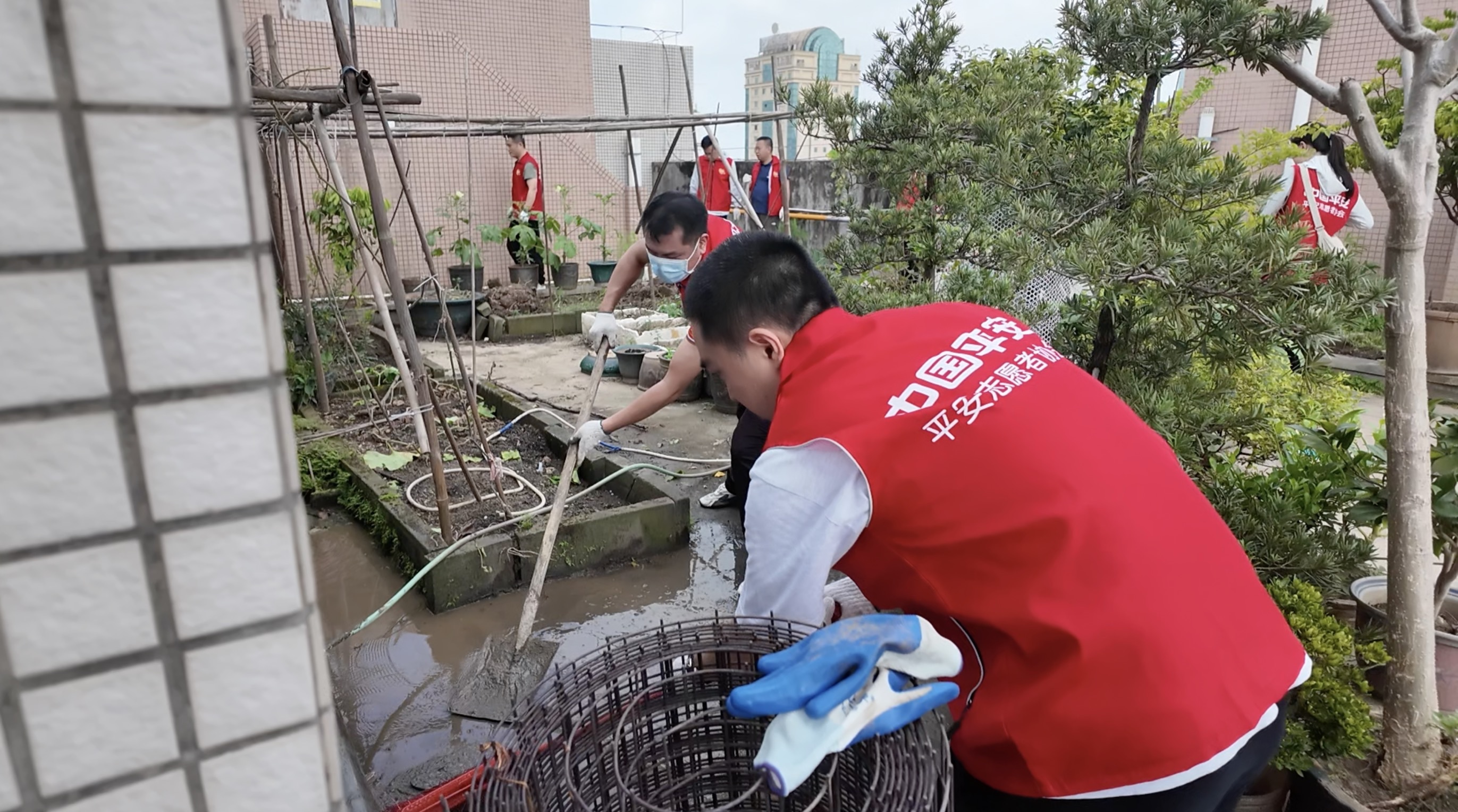 平安产险佛山分公司:积极开展蚊媒防控工作 筑牢基孔肯雅热预防屏障