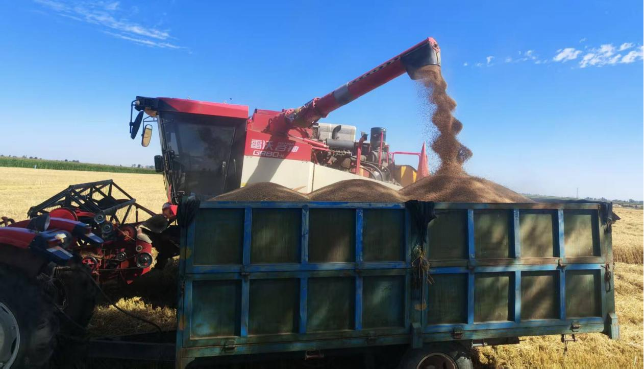 农业社会化服务提质增效 永昌“托”起农户增收梦