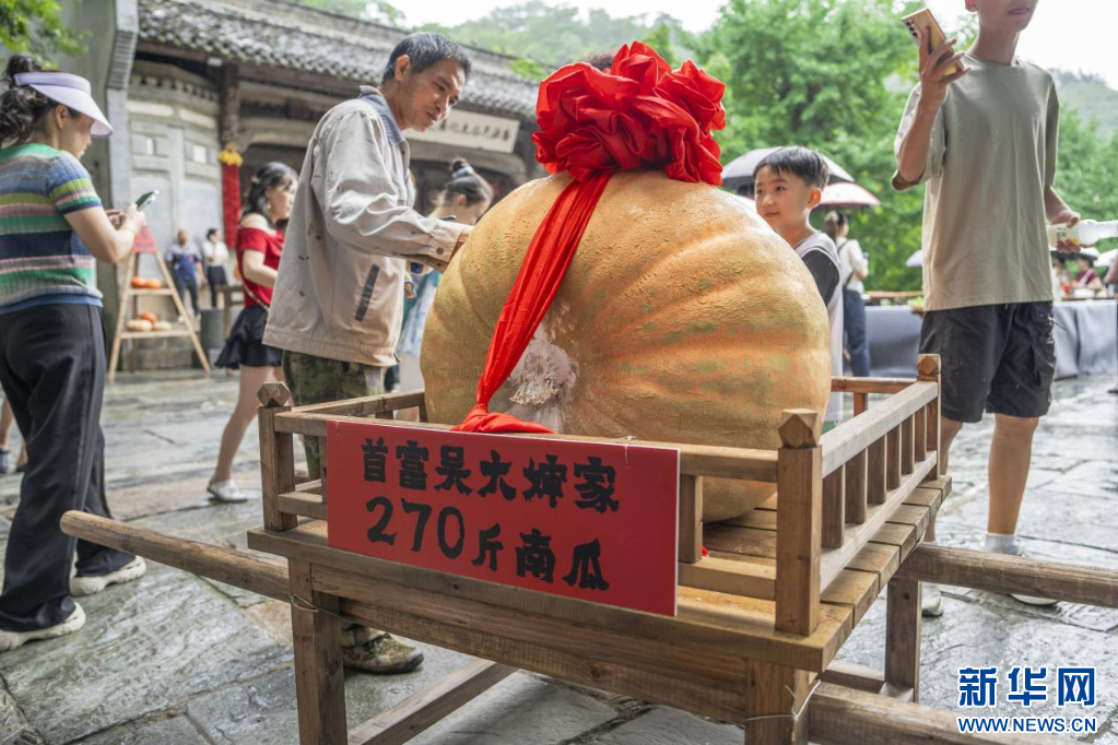 巨型瓜果“晒”出丰收喜悦。新华网发