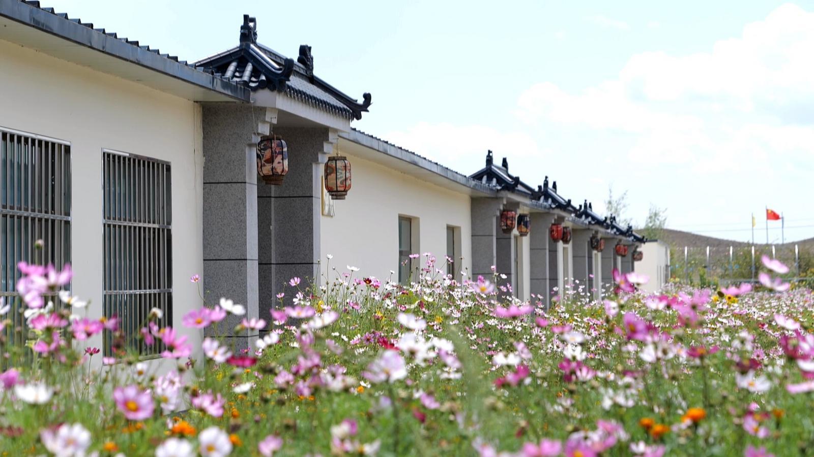 “乡”约永昌 快来采摘你的小“杏”运