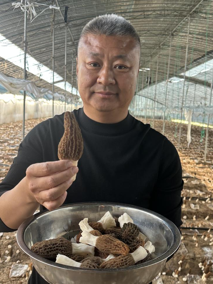 青岛乡里乡亲｜张黎民：数字田间“新农人”，创新治村“领路人”