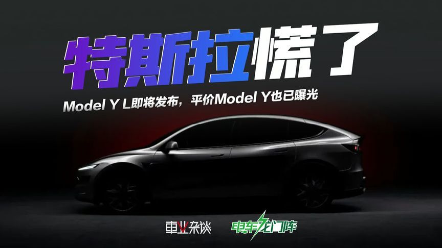 前脚Y L，后脚平价Y，马斯克打的算盘我在上海都听到了
