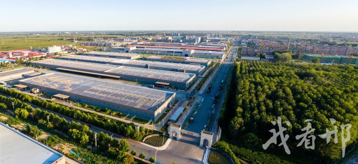 隆尧县东方食品城。园区供图