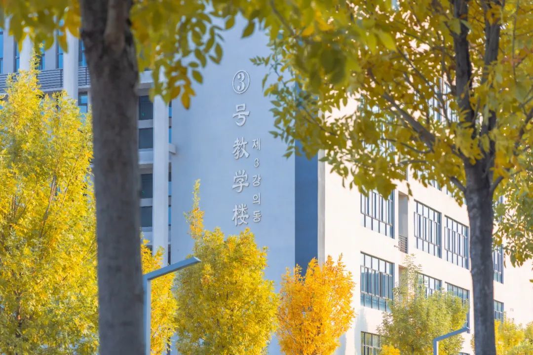 点击查看原始图片