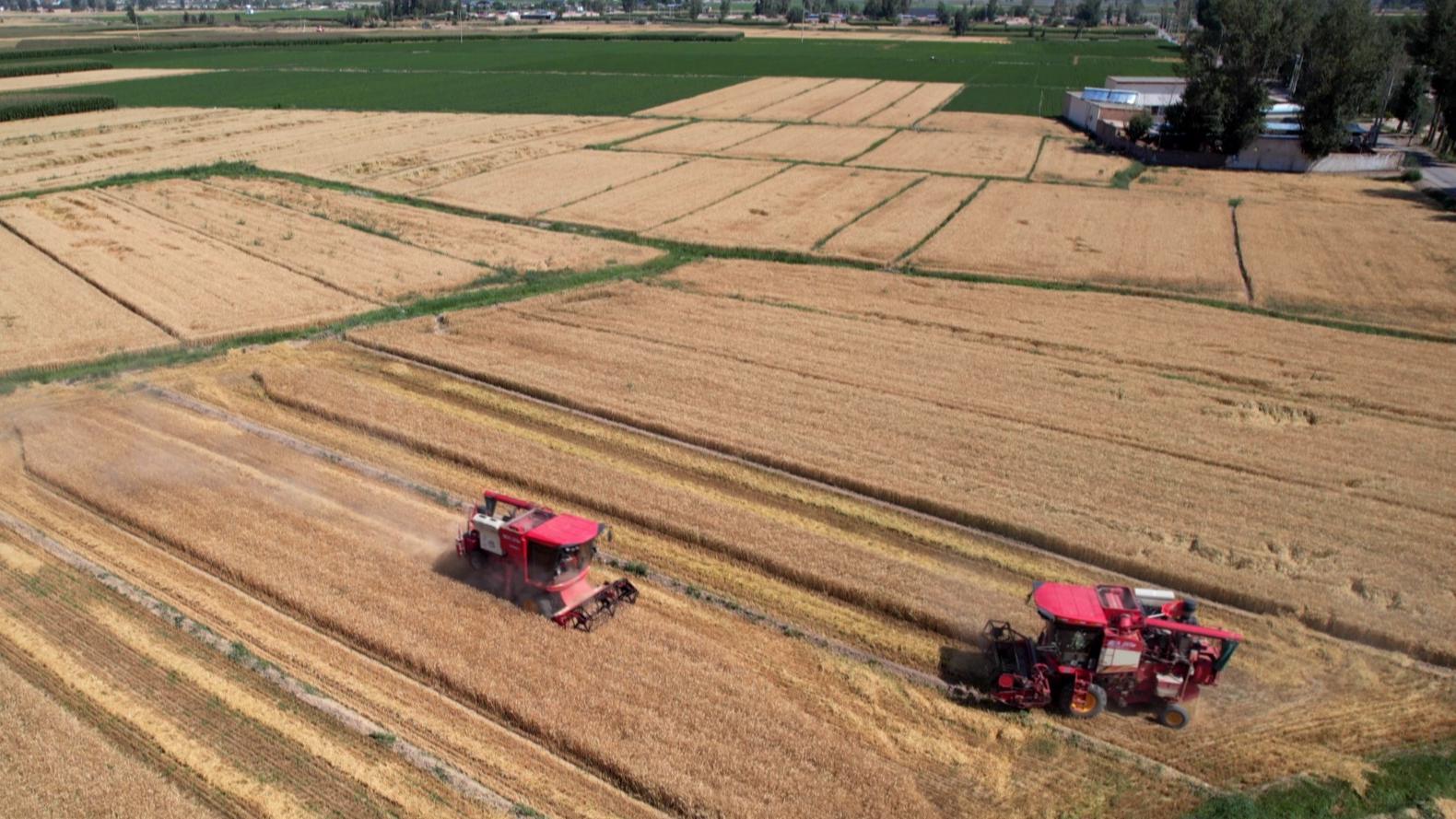 GDP超63亿增长18.7%　上半年永昌经济盘点来了