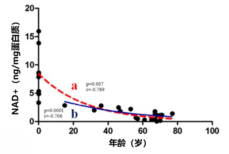 点击查看原始图片