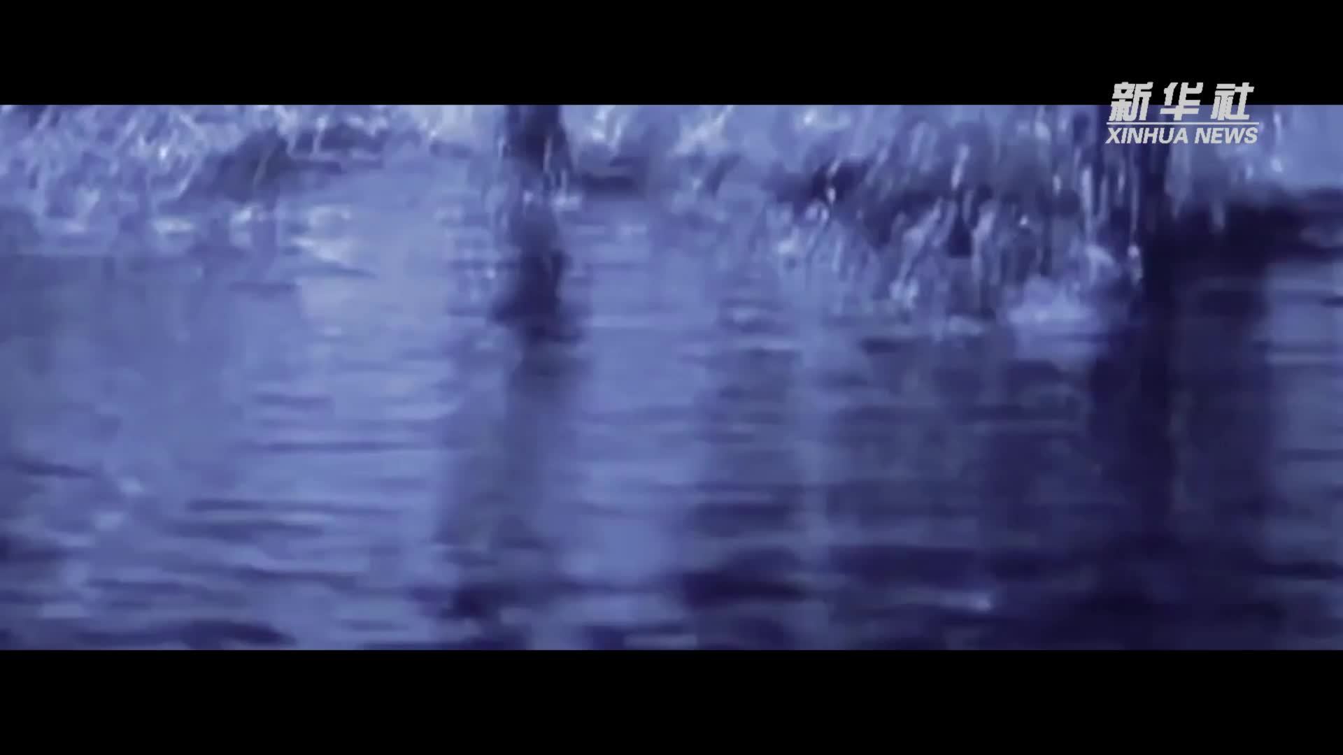 不同的青春 相同的样子——走进夜袭阳明堡“战斗模范连”