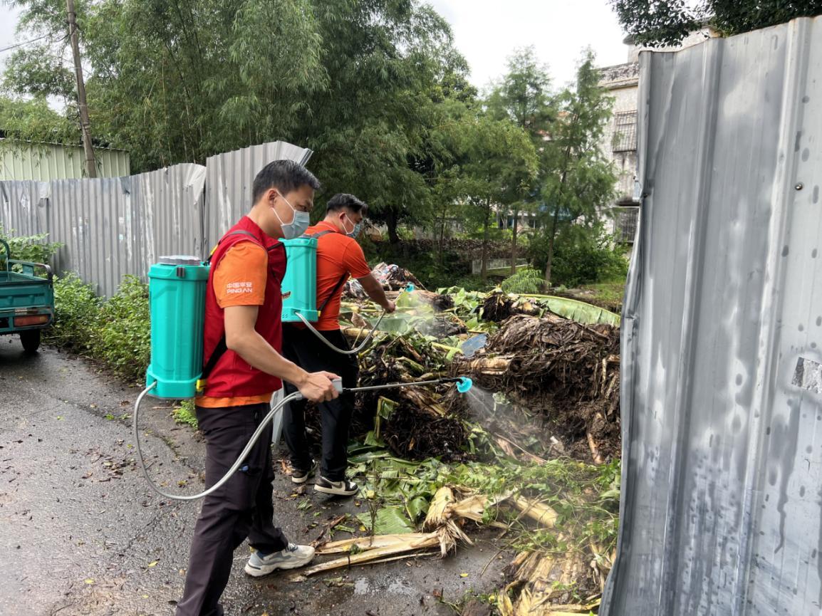 平安产险佛山分公司:积极开展蚊媒防控工作 筑牢基孔肯雅热预防屏障