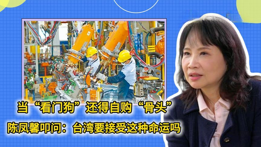 台湾当看门狗还得自购骨头！陈凤馨叩问：要接受这种命运吗