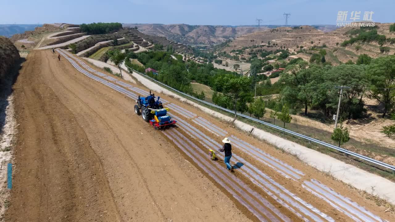 农业农村部：制定防灾减灾救灾措施，夺秋粮丰收