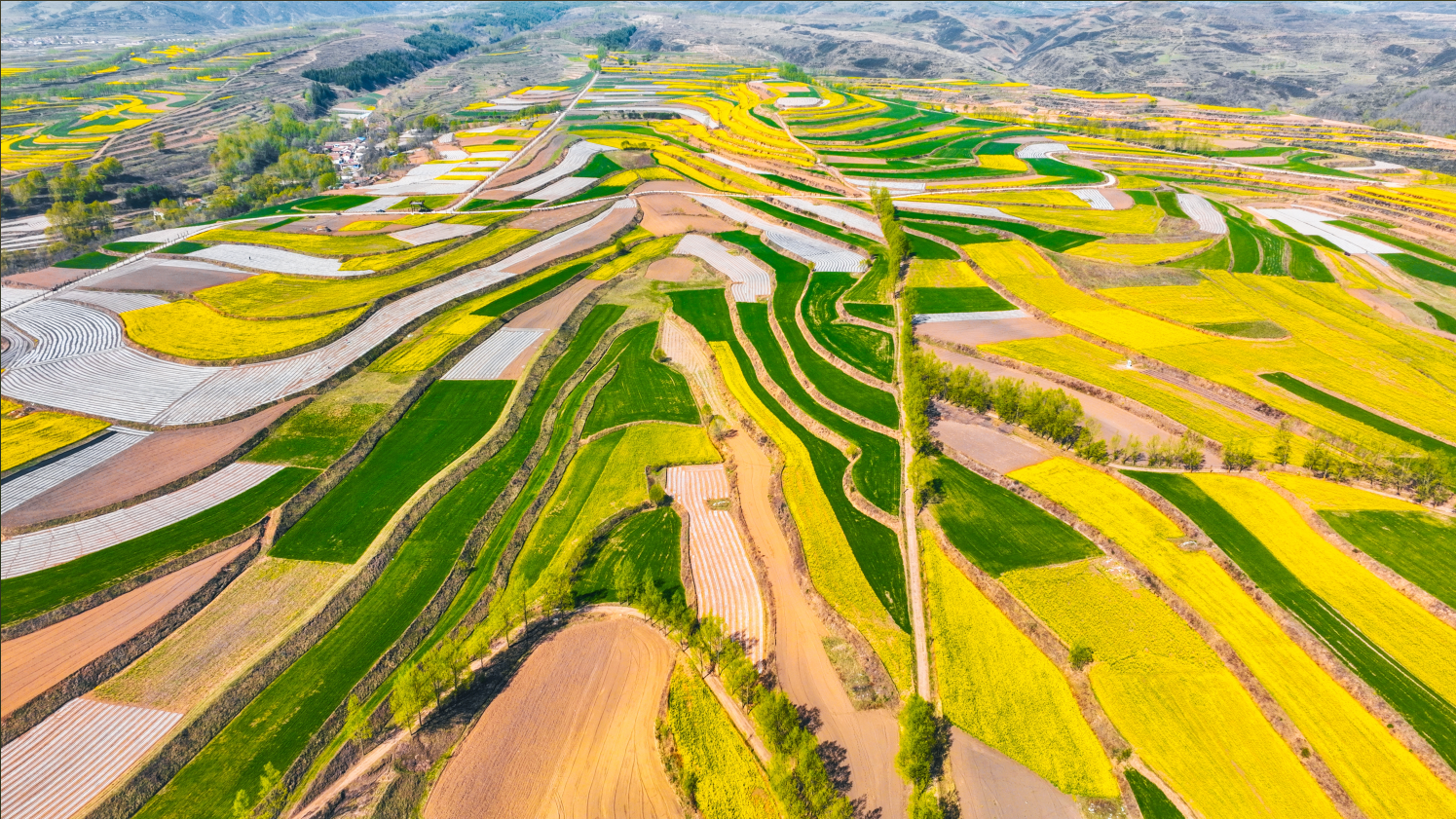 "煤海"扬帆打造工业样板　华亭双轮齐驱上半年成绩亮眼