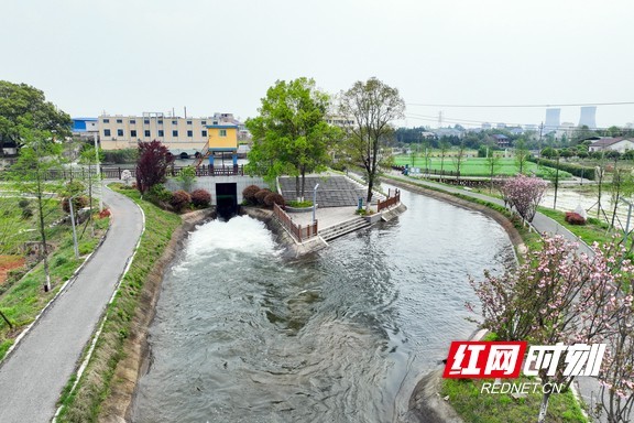 酒埠江灌区西干渠渠首正在开闸放水.marked.jpg