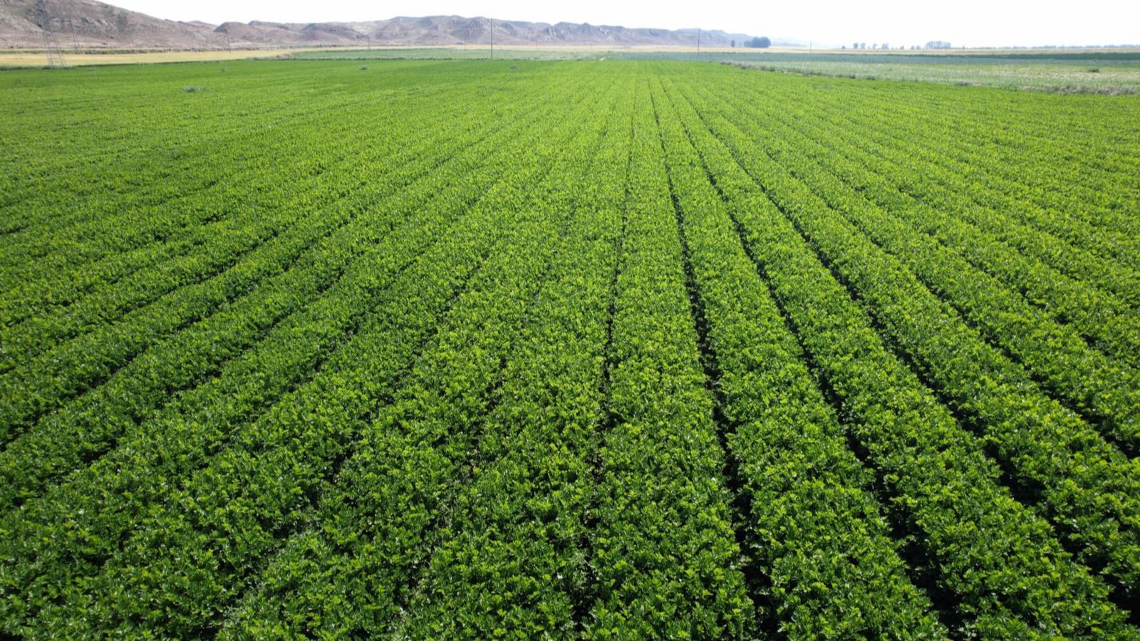 GDP超63亿增长18.7%　上半年永昌经济盘点来了