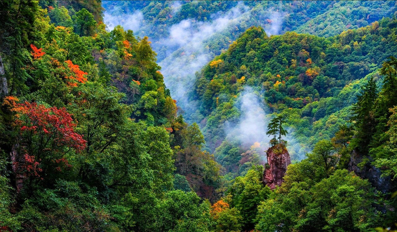 "煤海"扬帆打造工业样板　华亭双轮齐驱上半年成绩亮眼