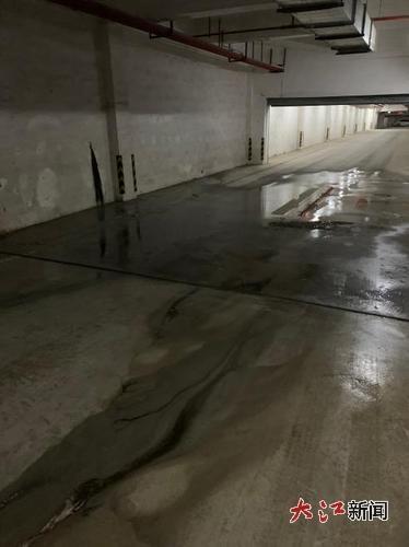 该小区地下室(网友供图)