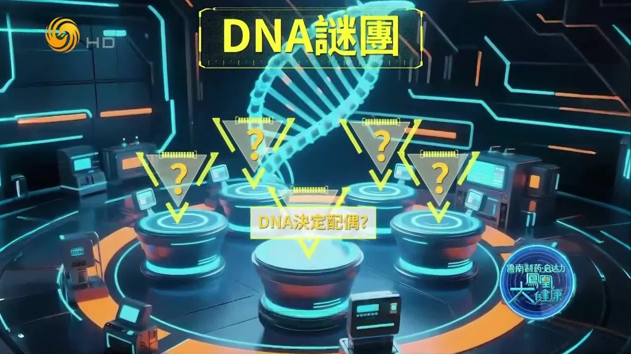 你相信“一见钟情”吗？这一切其实都是DNA决定的