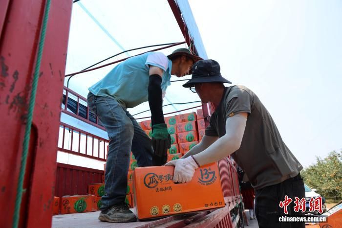 图为陕西省延安市洛川县的果农正在装车。　李进 摄