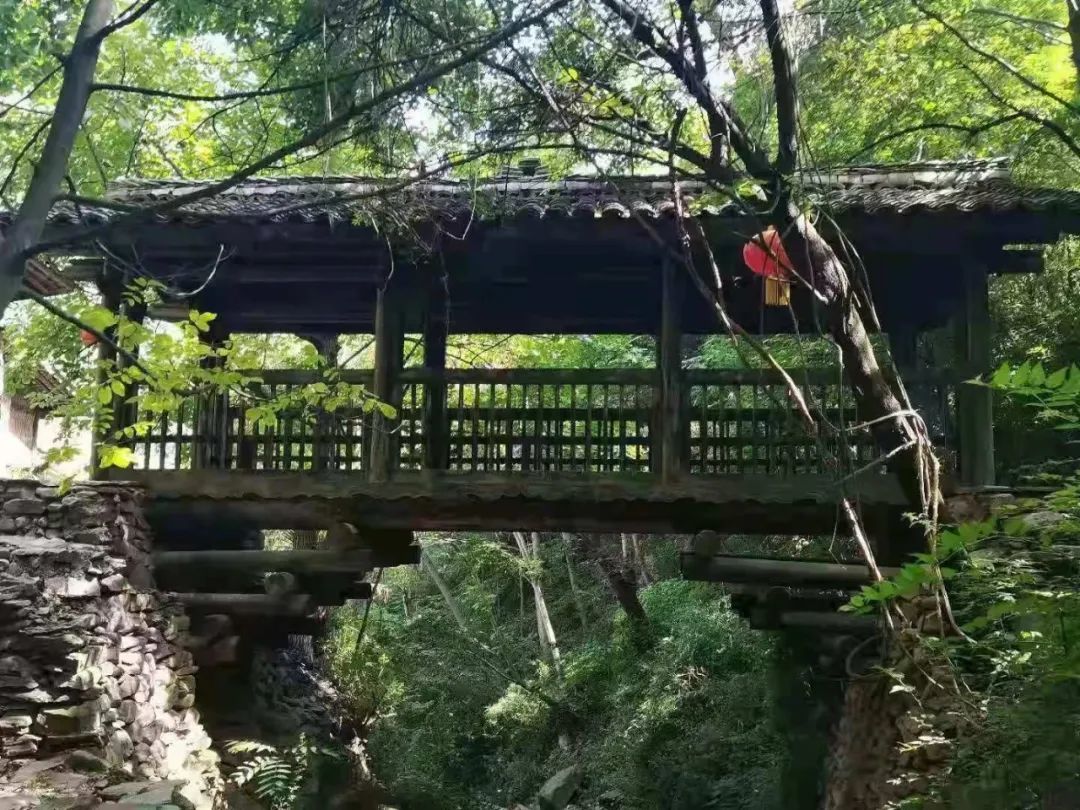 陇南武都把温度“打”下来了　小众避暑胜地等你邂逅