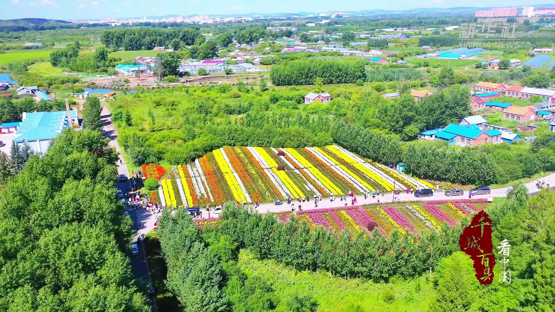 千城百县看中国｜内蒙古：花海松林迎游人