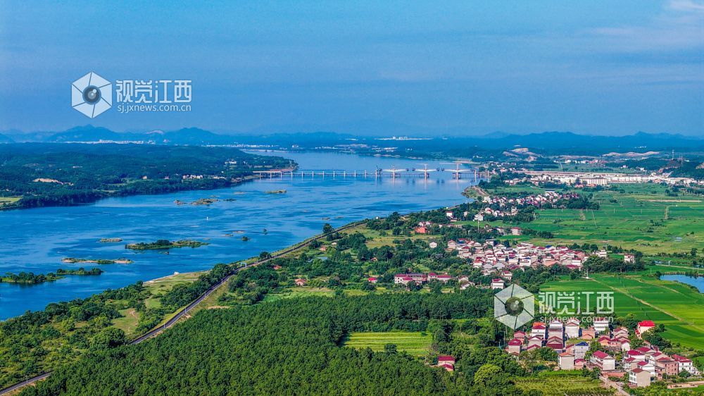 2025年8月5日，江西省吉安市峡江县，赣江河畔水清岸绿景美。