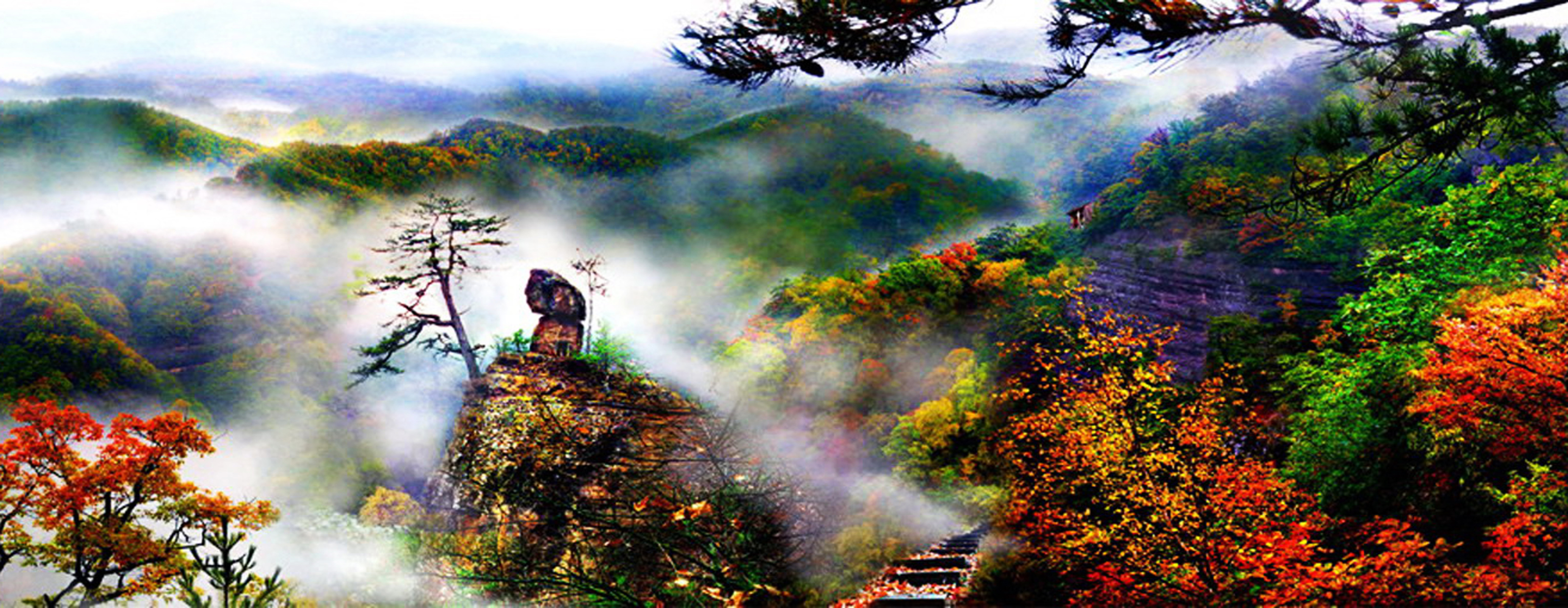 "煤海"扬帆打造工业样板　华亭双轮齐驱上半年成绩亮眼