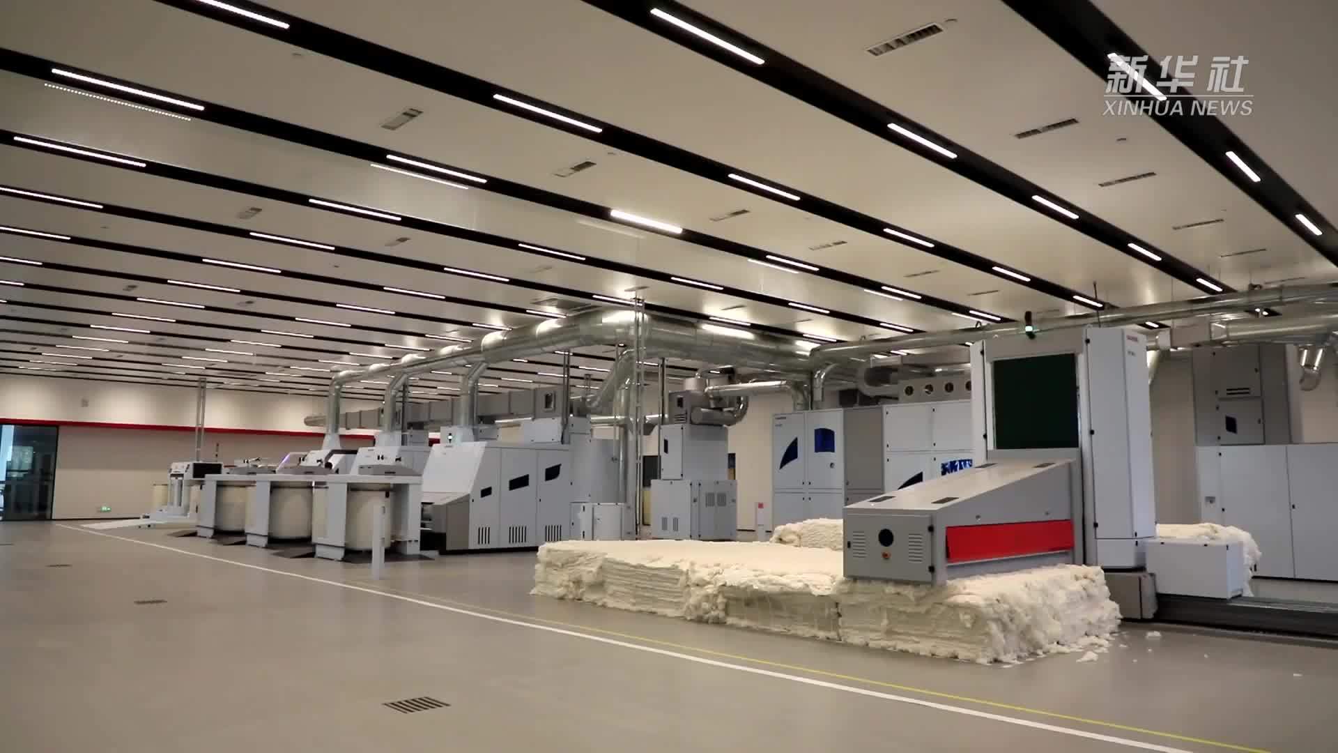 织就未来：一朵棉花“纤”动金色产业链