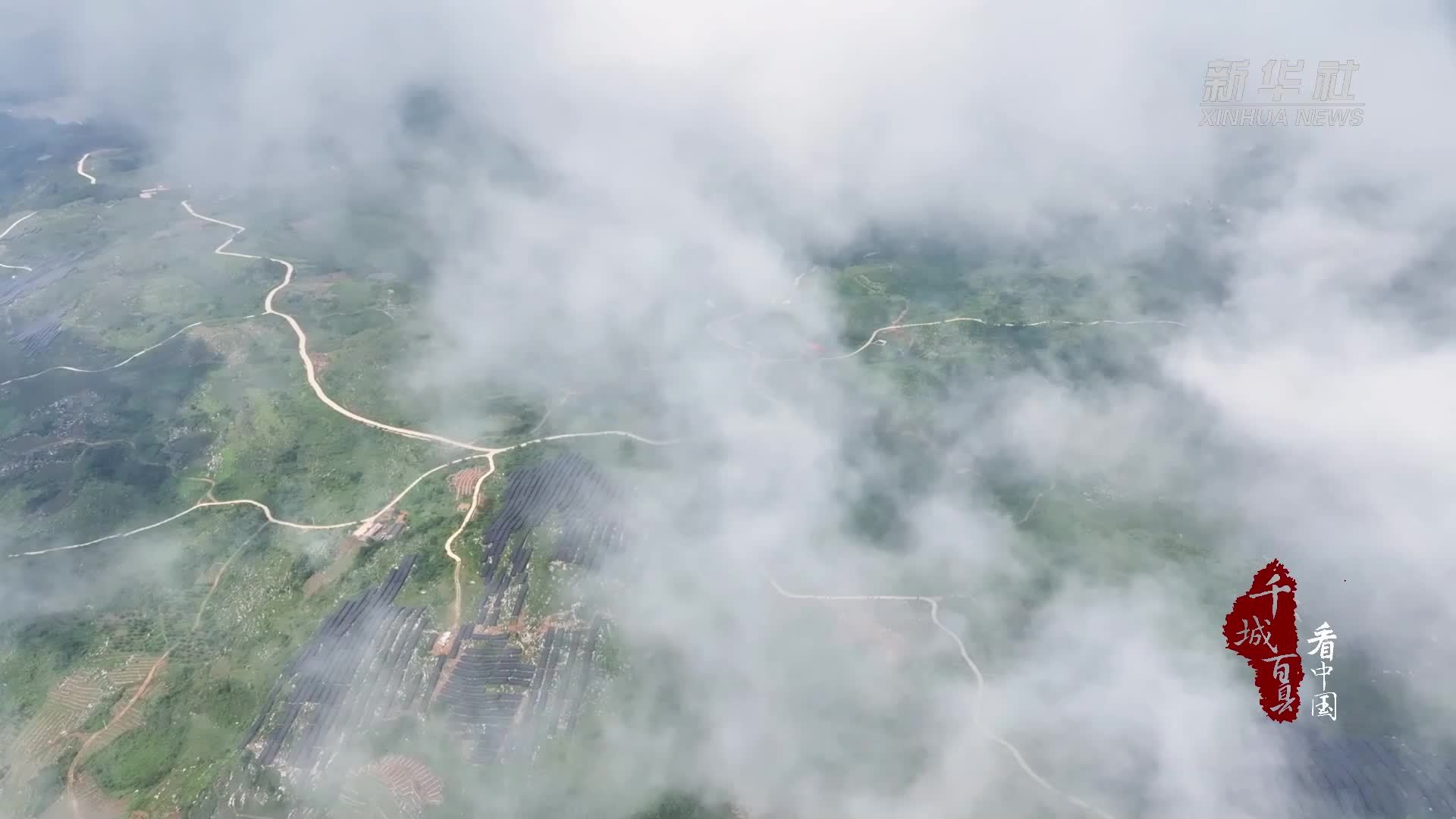 千城百县看中国｜湖南新化：西瓜丰收“甜”心头