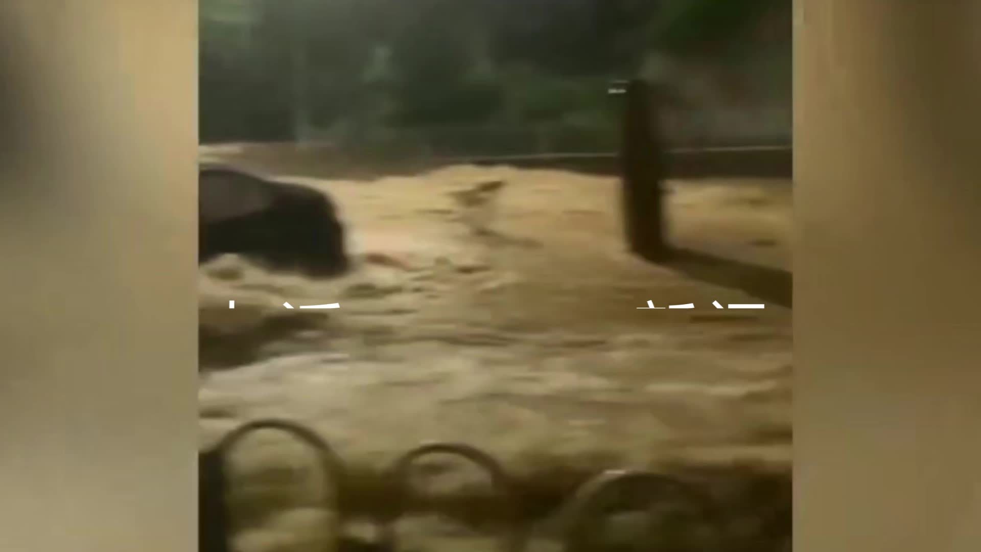 肇庆遇暴雨酒店老板洪水中救起一女子：她雨衣灌水险被冲走